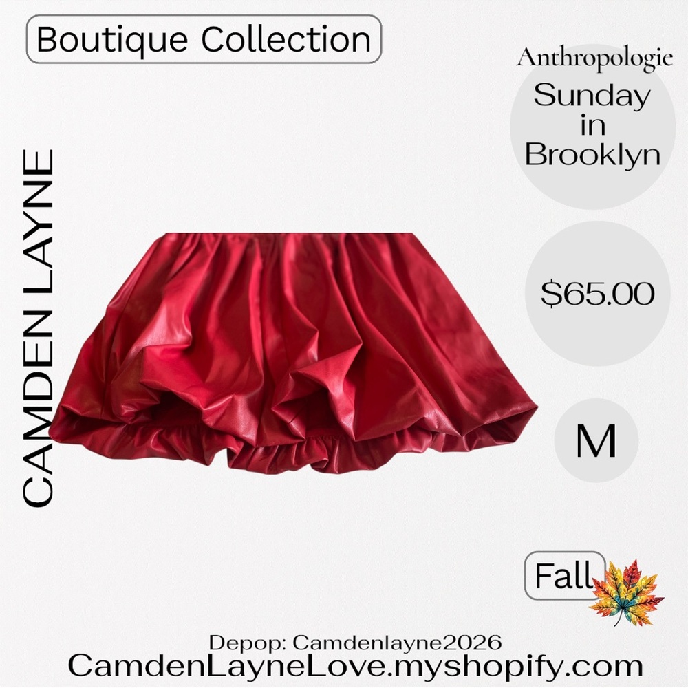 Anthropologie Scarlet Skirt - Picture 8 of 9